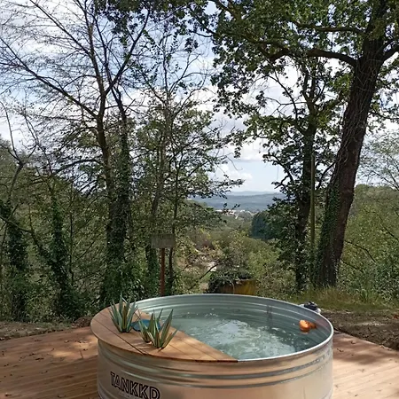 America Nei Boschi 3*