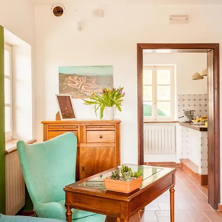 America Nei Boschi Bra