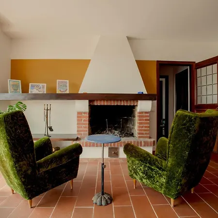 America Nei Boschi Bra