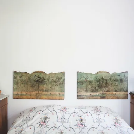 America Nei Boschi 3* Bra