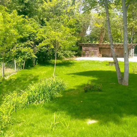 America Nei Boschi 3* Bra