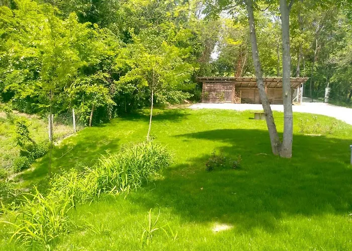 America Nei Boschi 3* ブラ